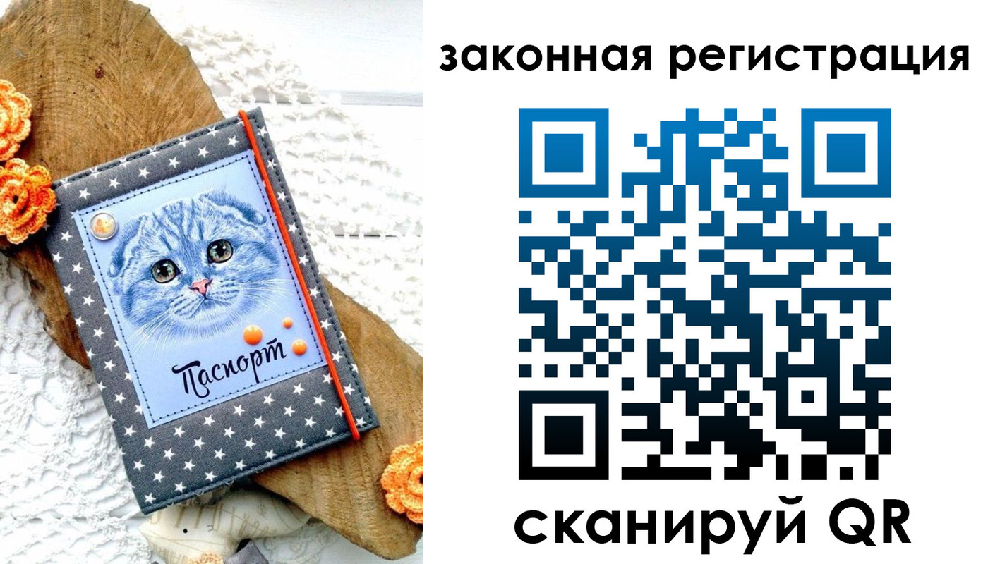 регистрация в Боровичах